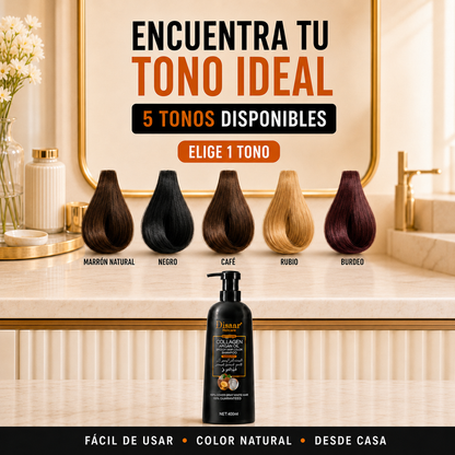Shampoo Cubre Canas Disaar - 5 Tonos